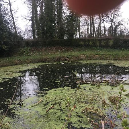 Le Colombier De Royaumont Villa Saint-Arnoult  Exteriör bild